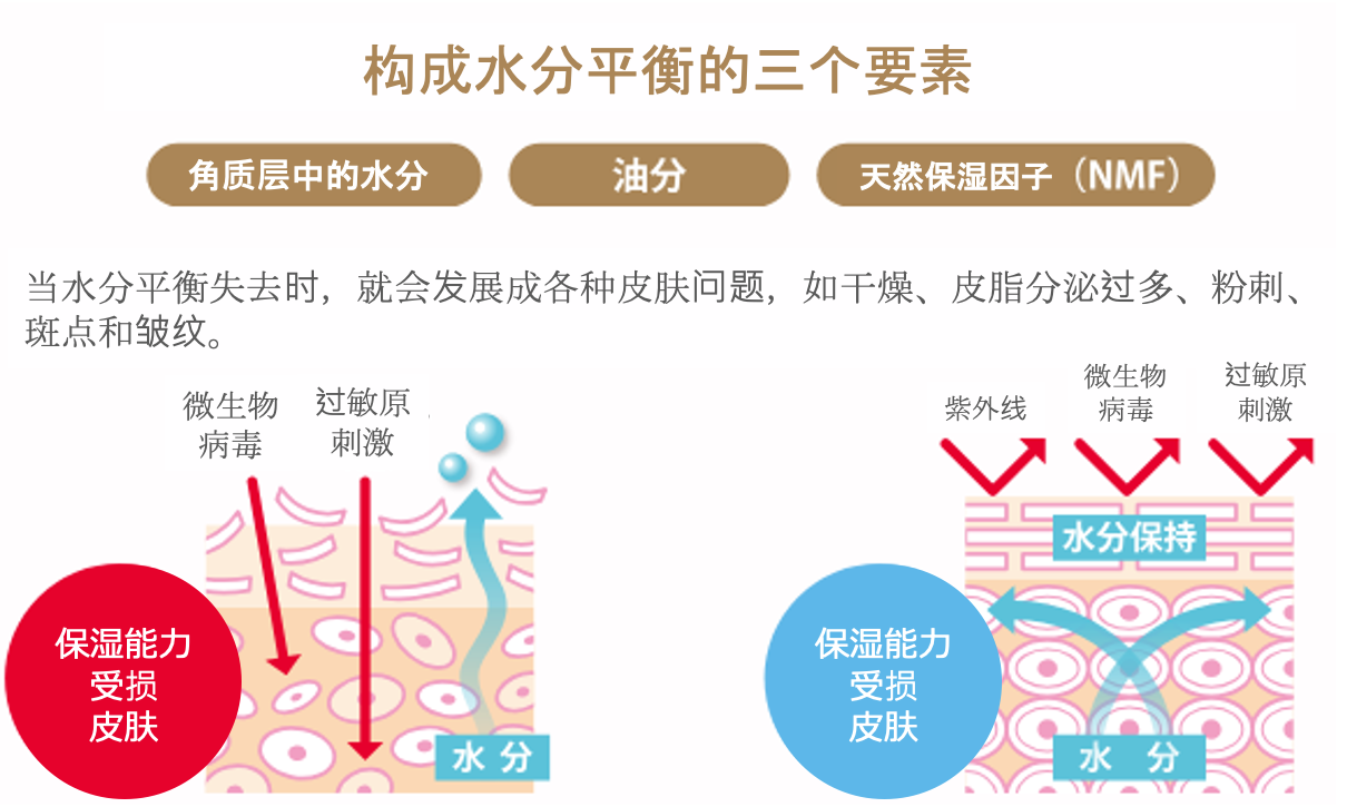 对于滋润和健康的肌肤To A Healthy Skin With Moisture I
